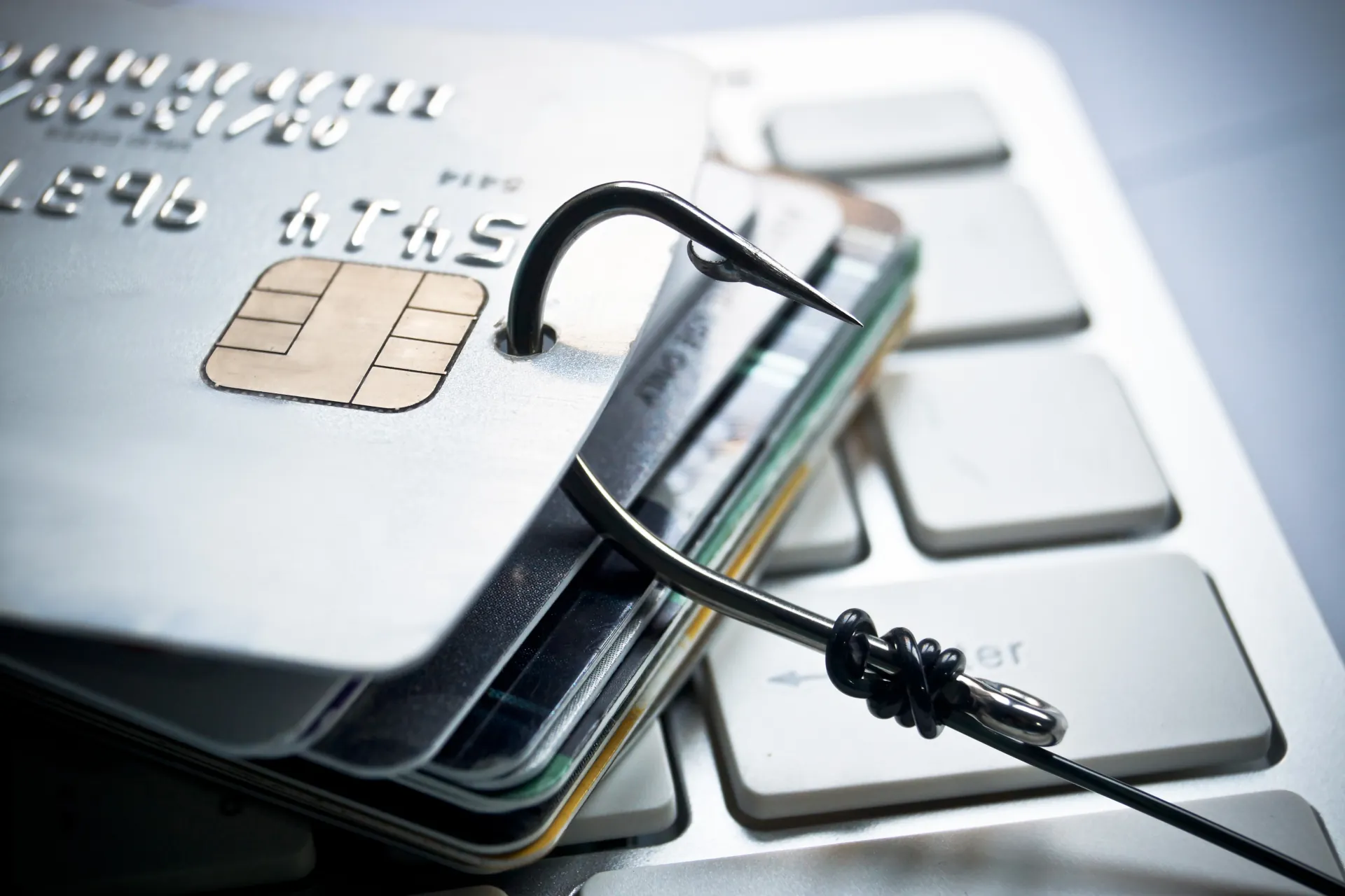 services-theft-fraud